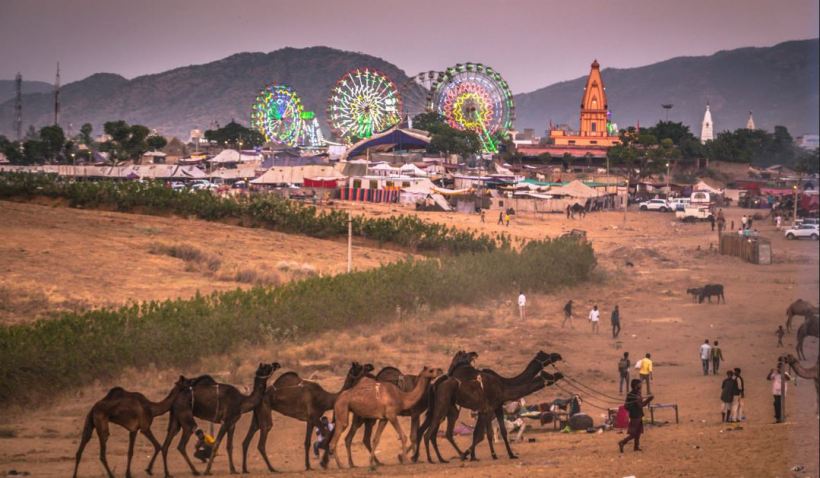 Pushkar camel fair2
