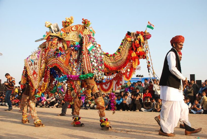 Decorated camel in Pushkar fair