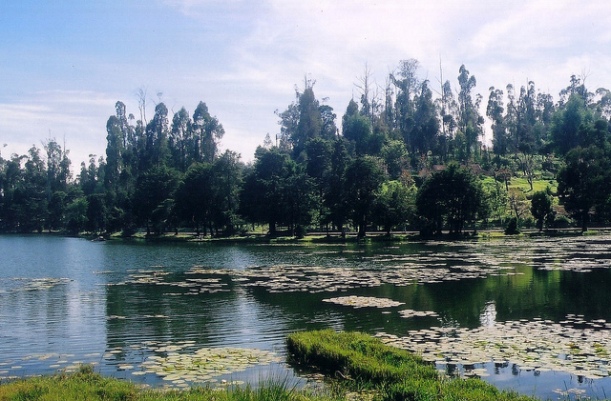 Kodaikanal Lake